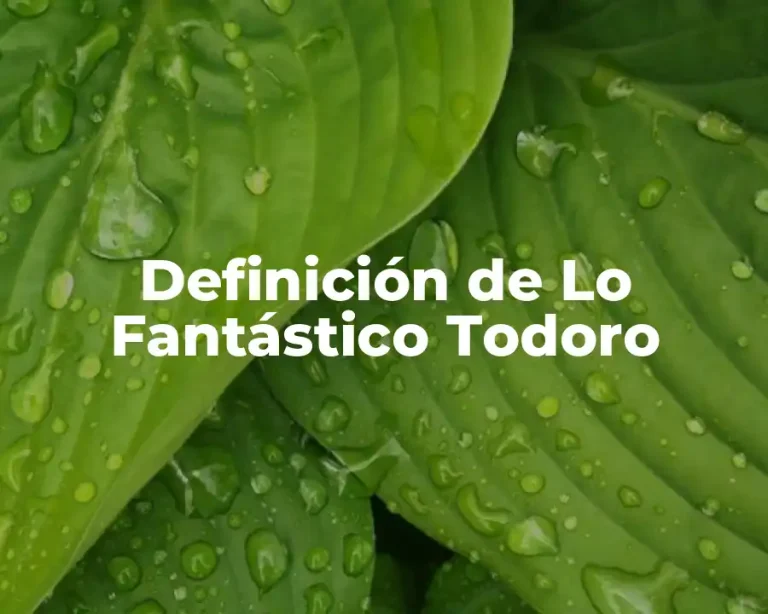 Definición de Lo Fantástico Todoro