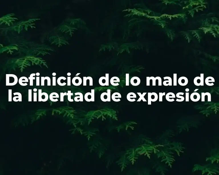Definición de lo malo de la libertad de expresión