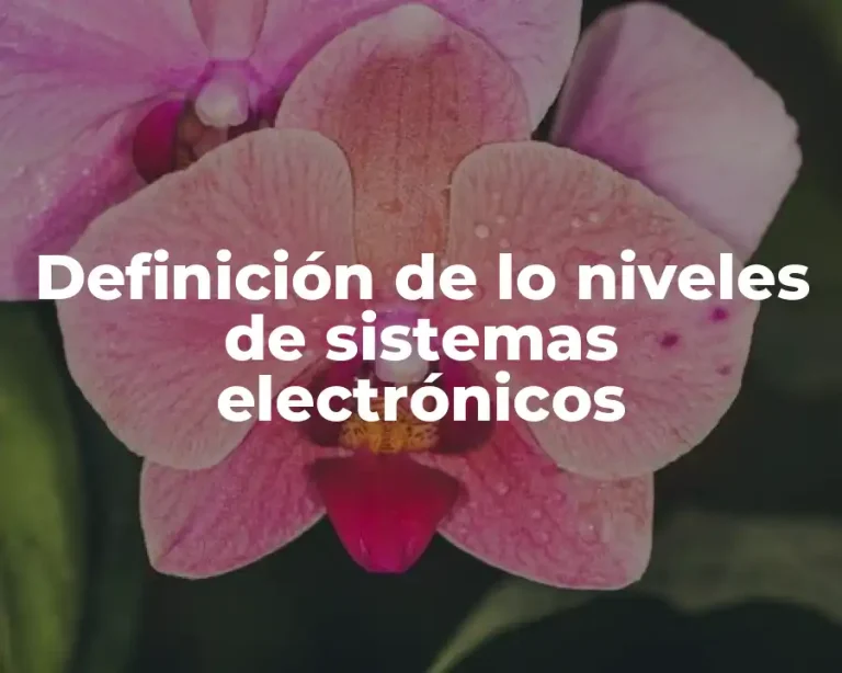 Definición de lo niveles de sistemas electrónicos