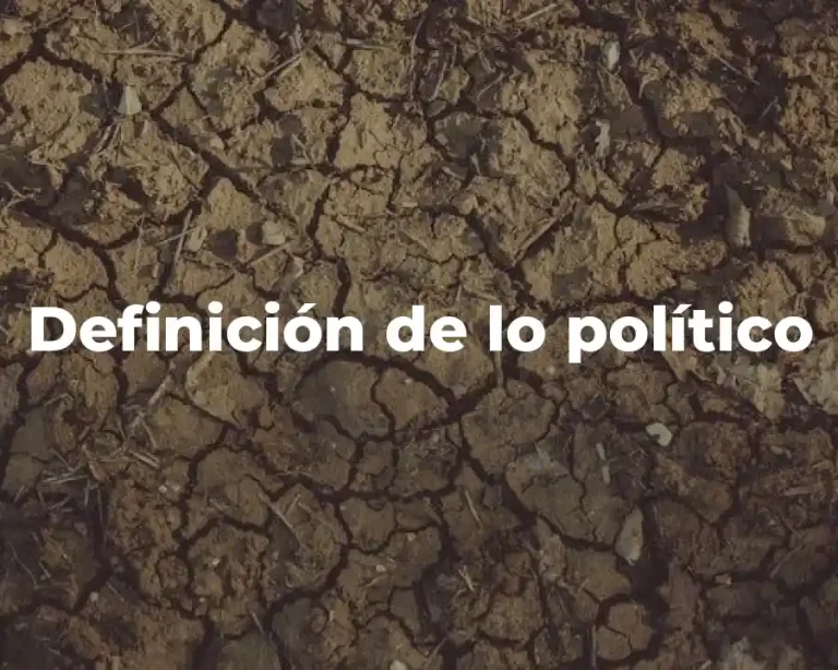 Definición de lo político