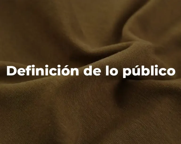 Definición de lo público