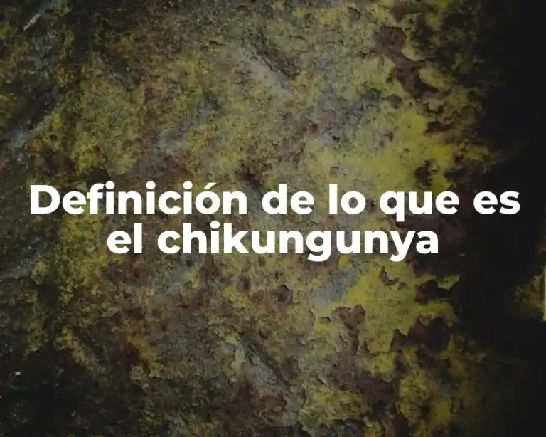 Definición de lo que es el chikungunya