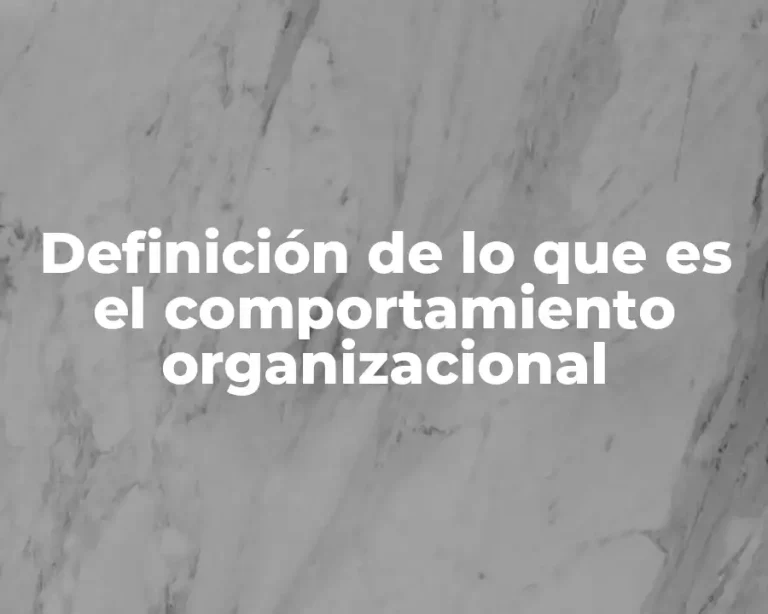 Definición de lo que es el comportamiento organizacional