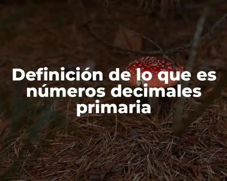 Definición de lo que es números decimales primaria