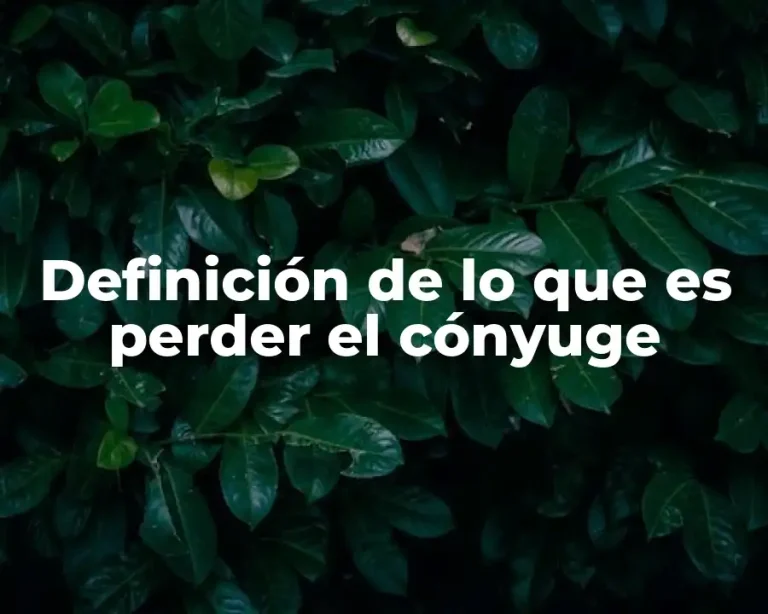 Definición de lo que es perder el cónyuge