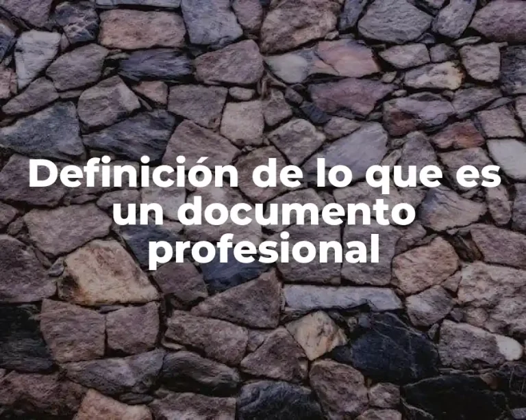 Definición de lo que es un documento profesional