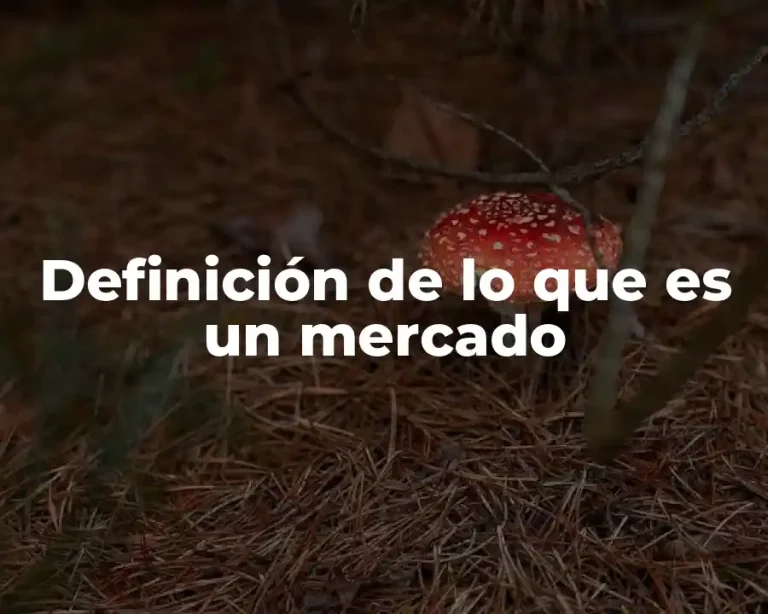 Definición de lo que es un mercado