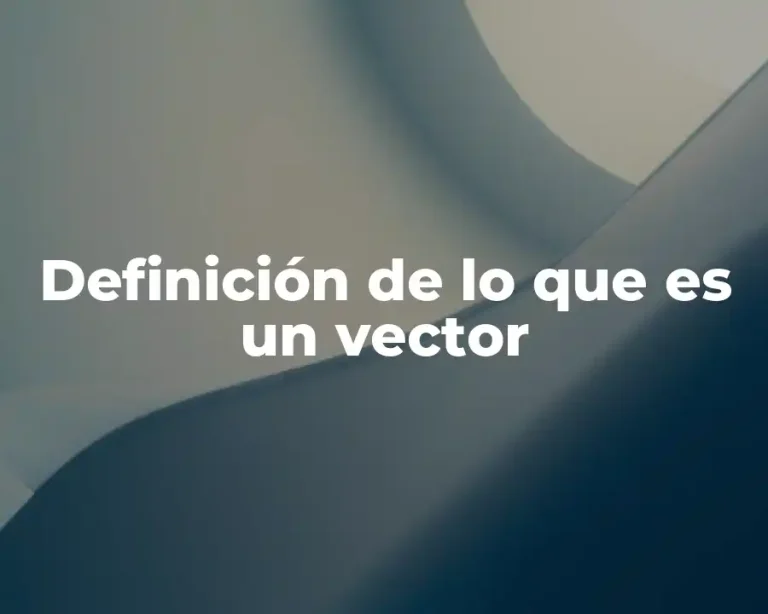 Definición de lo que es un vector