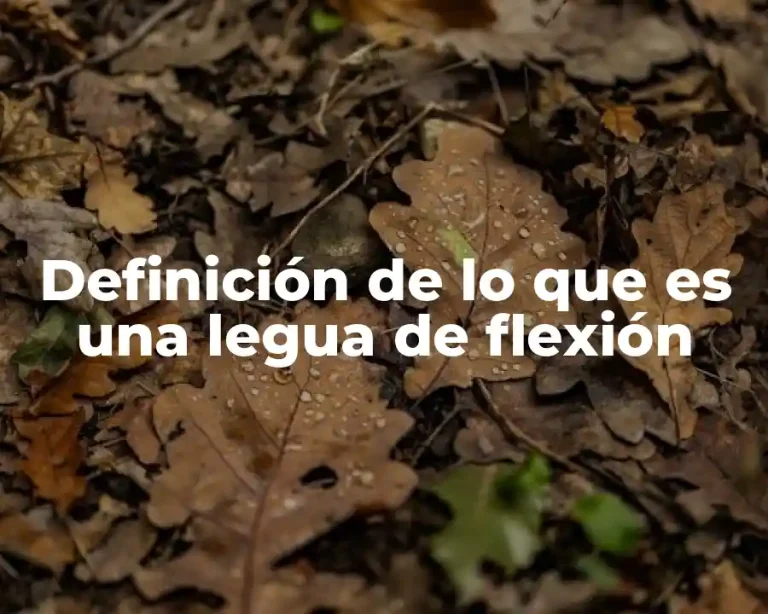 Definición de lo que es una legua de flexión