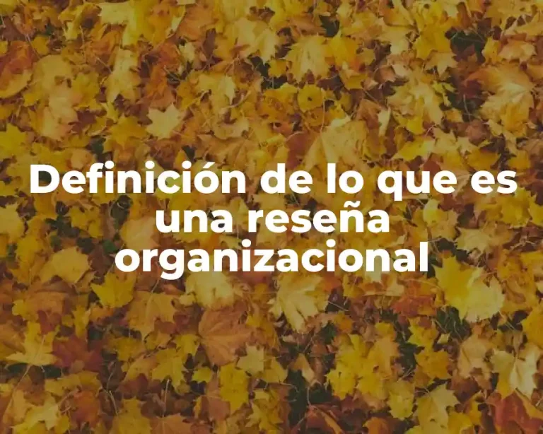 Definición de lo que es una reseña organizacional