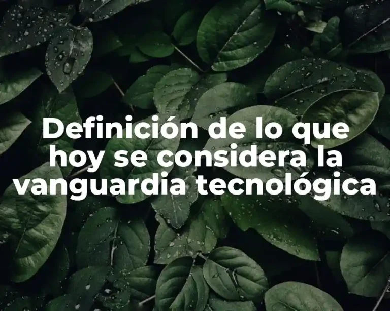 Definición de lo que hoy se considera la vanguardia tecnológica