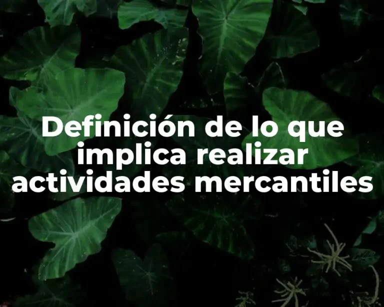 Definición de lo que implica realizar actividades mercantiles