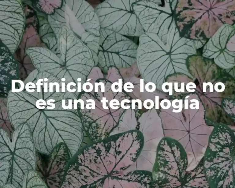 Definición de lo que no es una tecnología