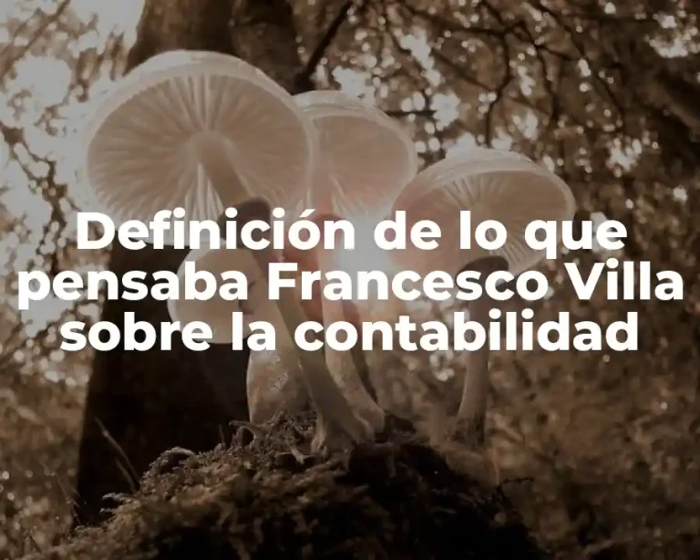 Definición de lo que pensaba Francesco Villa sobre la contabilidad