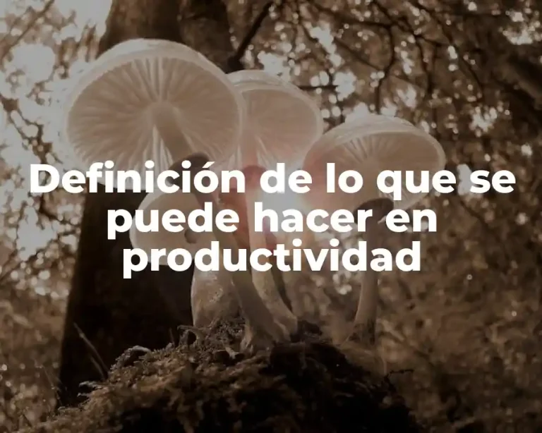 Definición de lo que se puede hacer en productividad