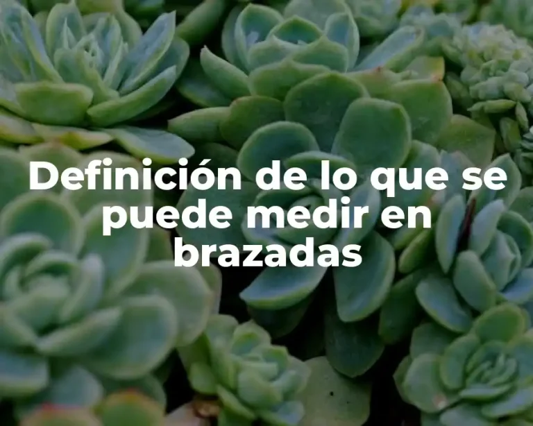 Definición de lo que se puede medir en brazadas