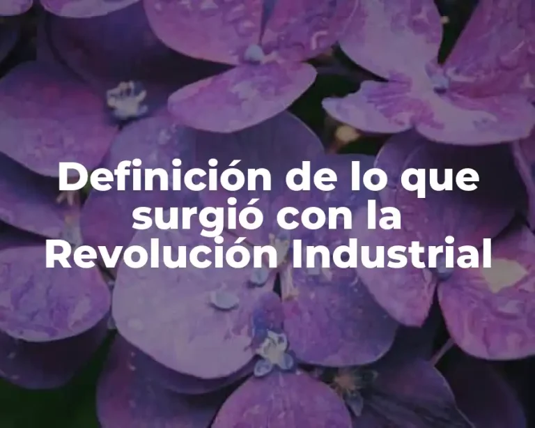 Definición de lo que surgió con la Revolución Industrial