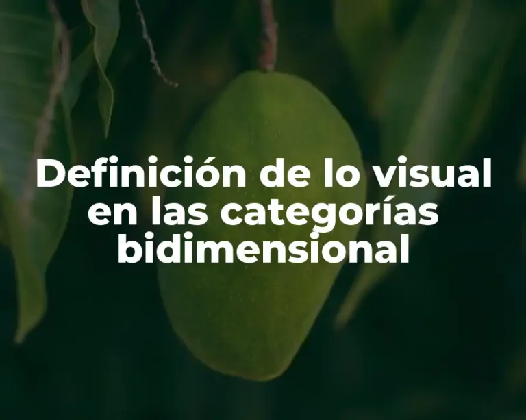Definición de lo visual en las categorías bidimensional