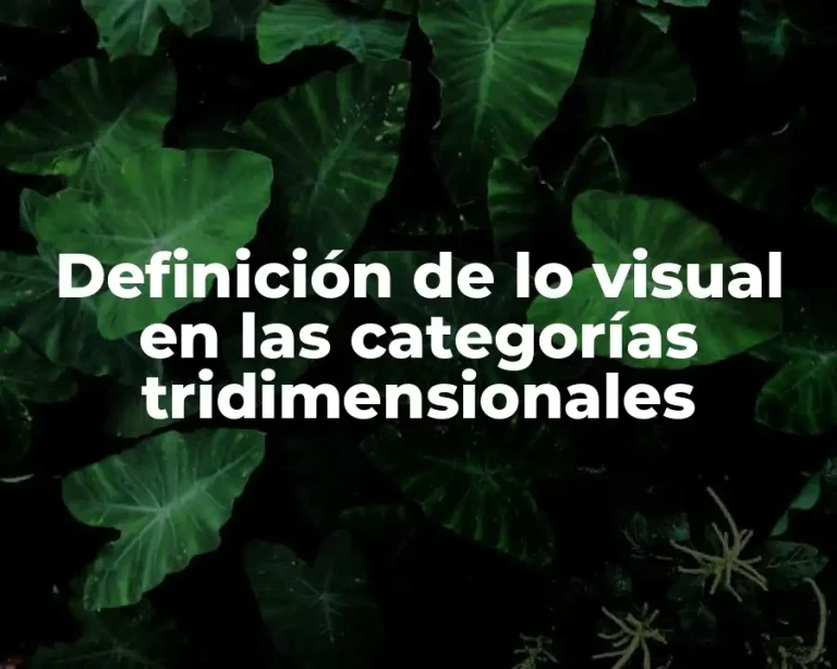 Definición de lo visual en las categorías tridimensionales