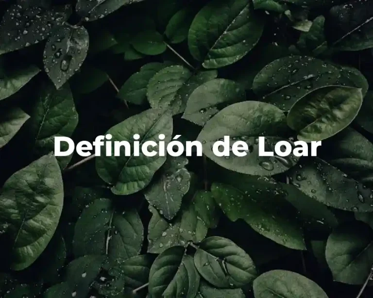 Definición de Loar