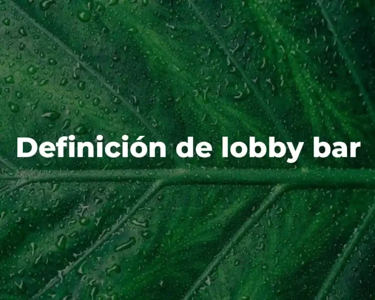 Definición de lobby bar