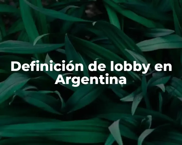 Definición de lobby en Argentina