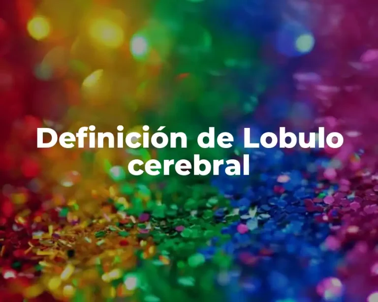 Definición de Lobulo cerebral