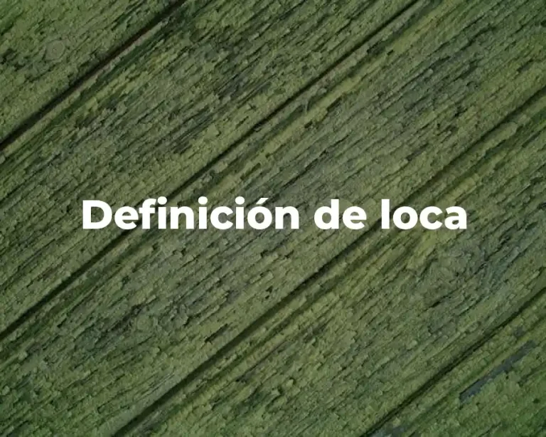 Definición de loca