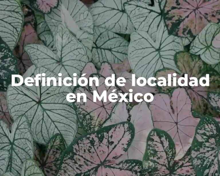 Definición de localidad en México