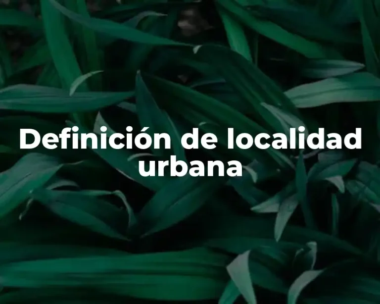Definición de localidad urbana