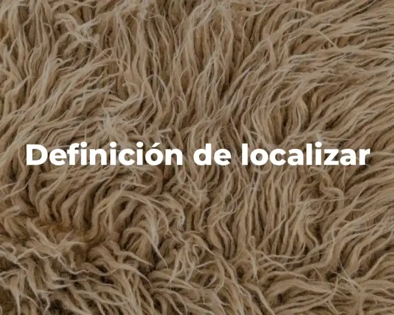 Definición de localizar