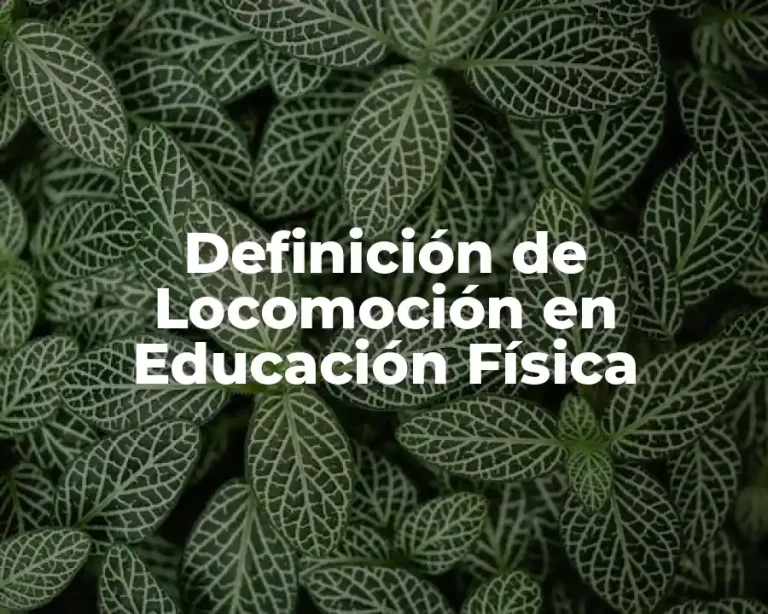 Definición de Locomoción en Educación Física