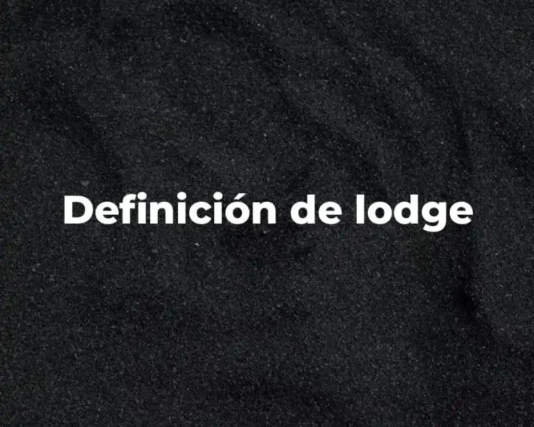 Definición de lodge