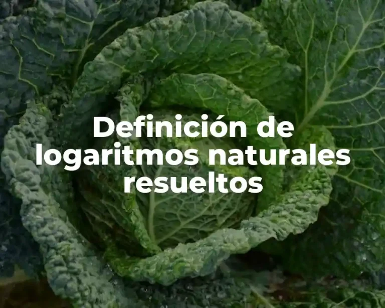 Definición de logaritmos naturales resueltos