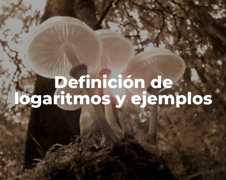 Definición de logaritmos y ejemplos