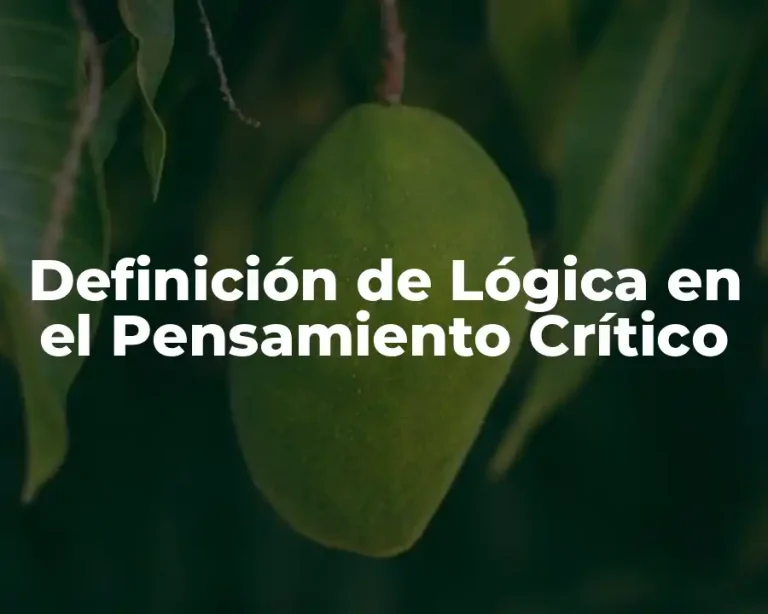 Definición de Lógica en el Pensamiento Crítico