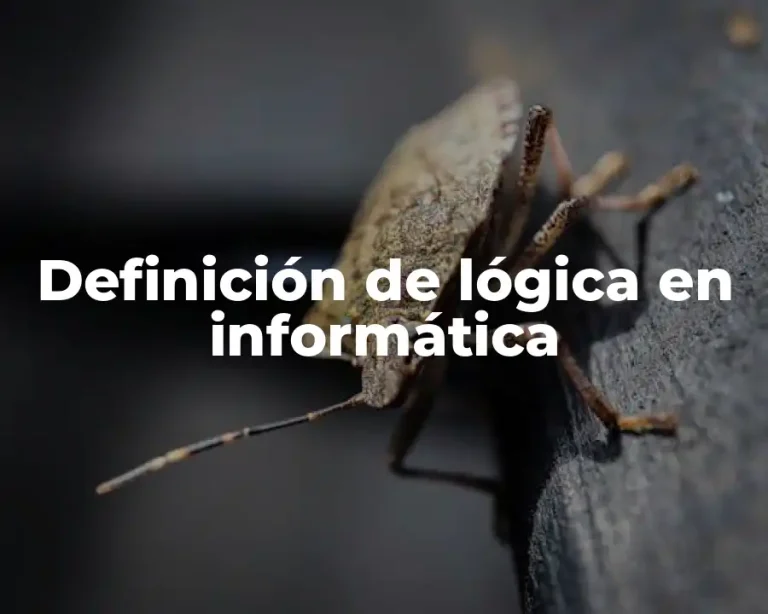Definición de lógica en informática