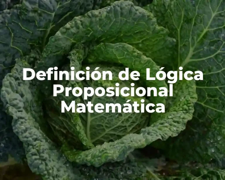 Definición de Lógica Proposicional Matemática