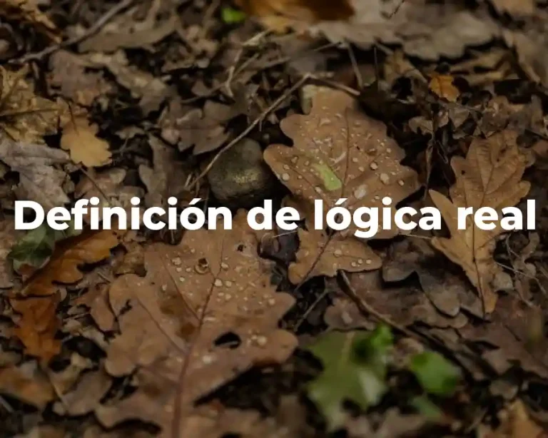 Definición de lógica real