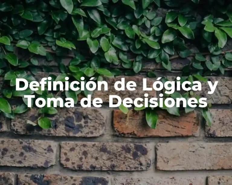 Definición de Lógica y Toma de Decisiones