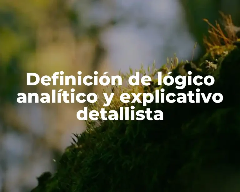Definición de lógico analítico y explicativo detallista