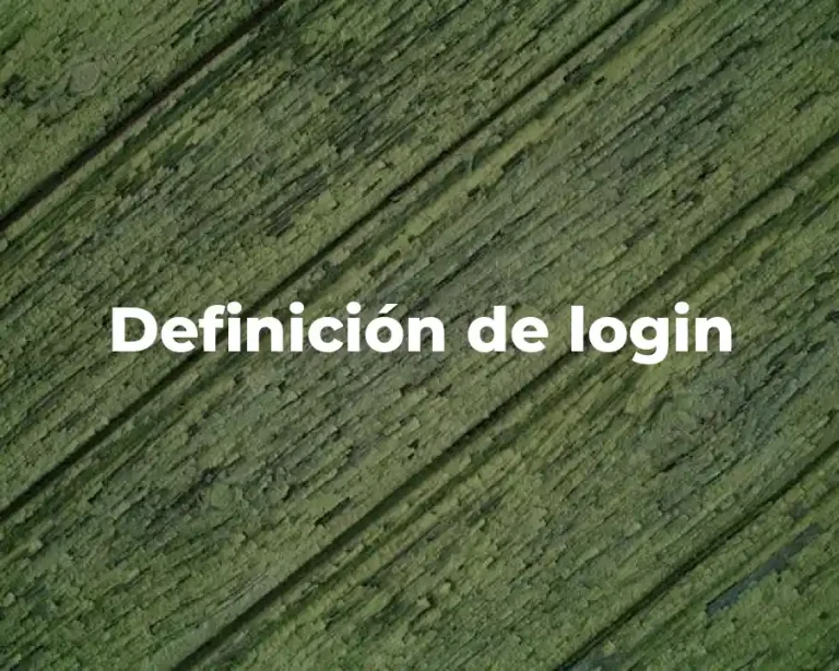 Definición de login