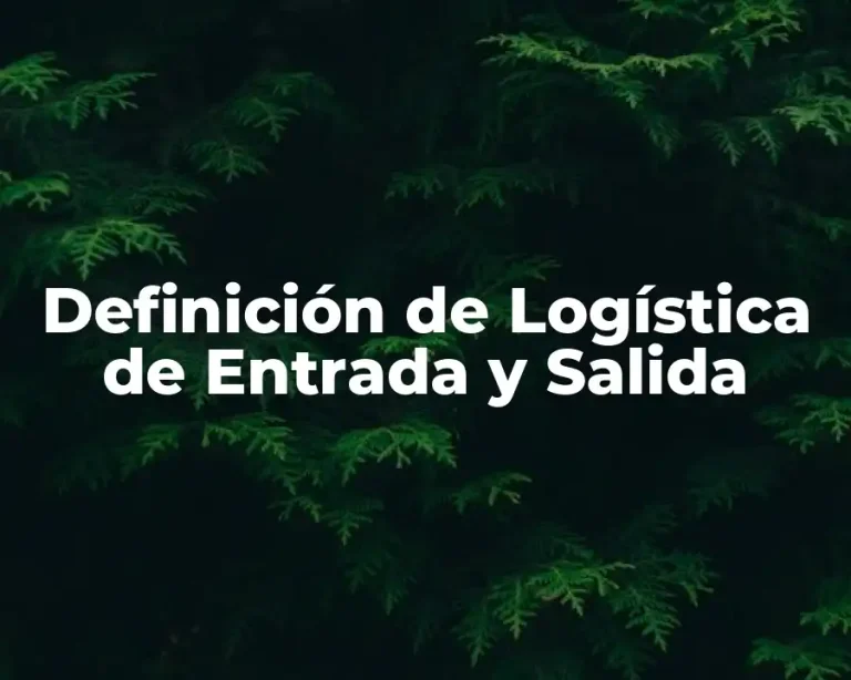 Definición de Logística de Entrada y Salida