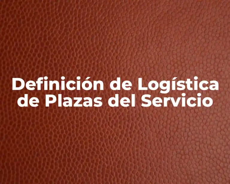 Definición de Logística de Plazas del Servicio