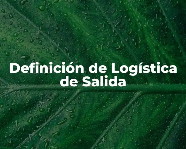 Definición de Logística de Salida