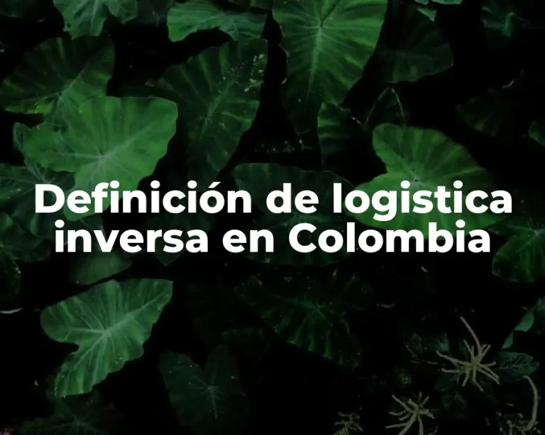 Definición de logistica inversa en Colombia