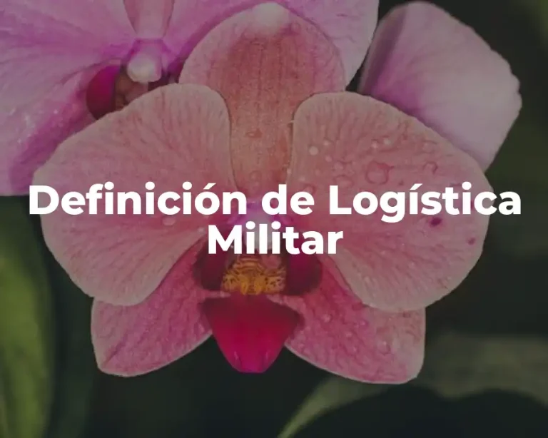 Definición de Logística Militar