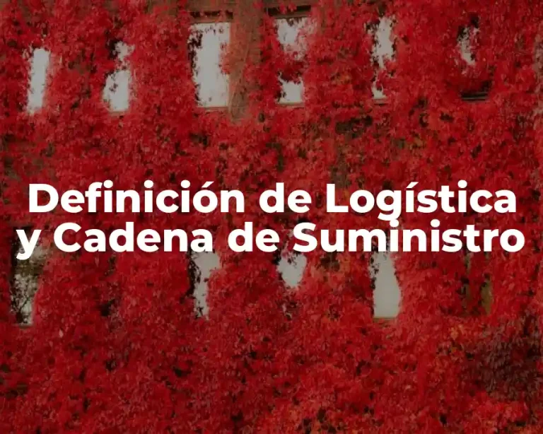 Definición de Logística y Cadena de Suministro
