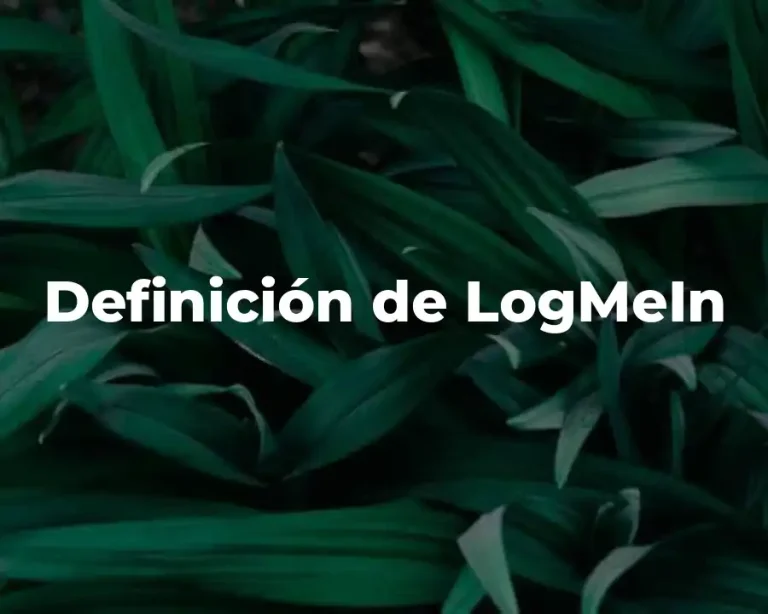 Definición de LogMeIn
