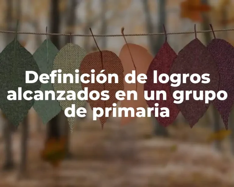 Definición de logros alcanzados en un grupo de primaria